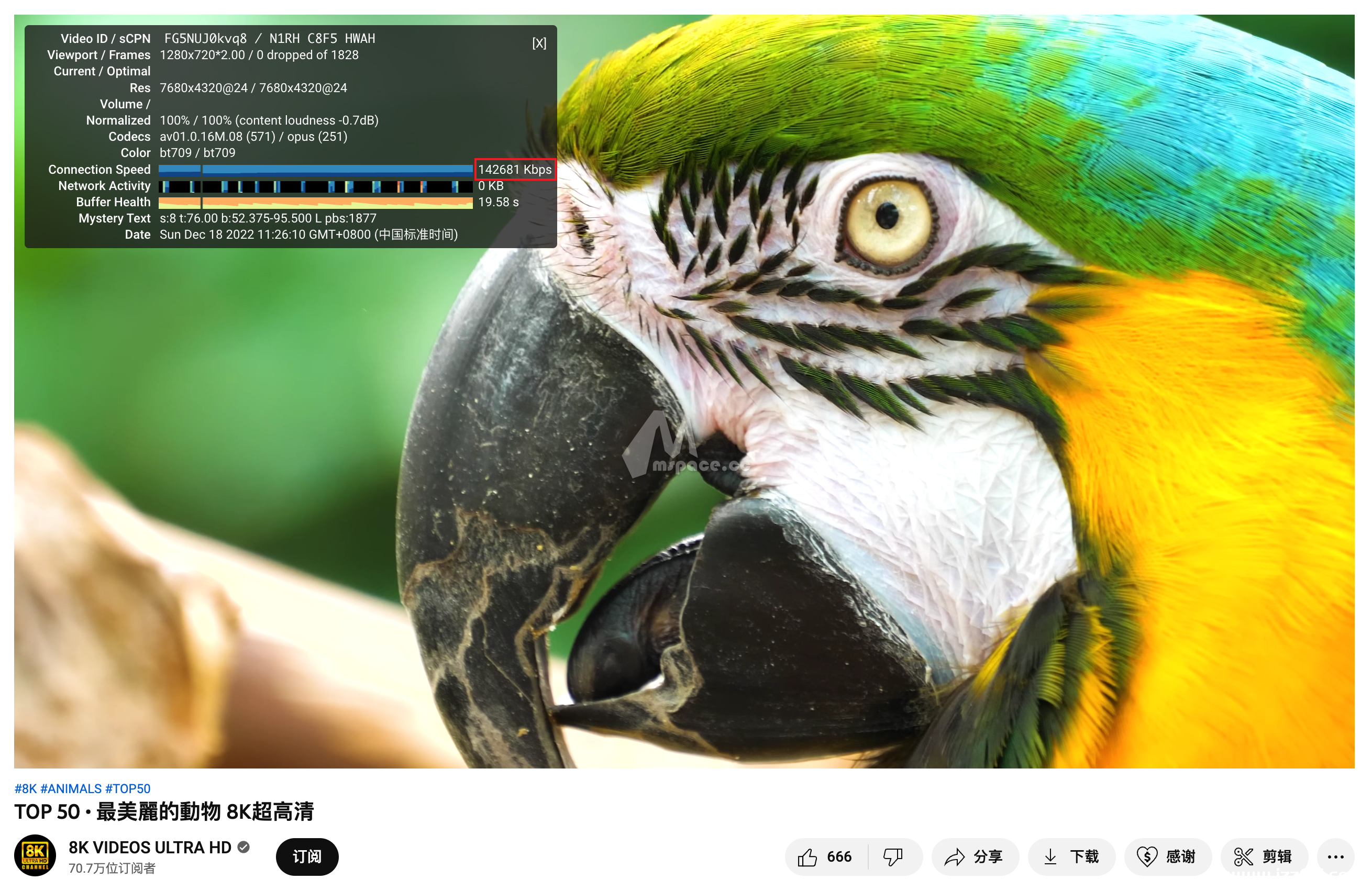 图片[24]|5 分钟实现全屋科学上网 群晖 NAS 安装 Openwrt 旁路由教程|牧之笔记 | 世界不应有局限
